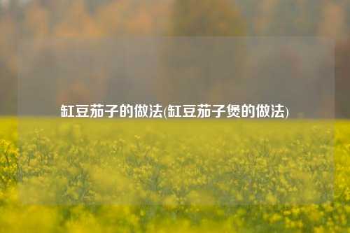 缸豆茄子的做法(缸豆茄子煲的做法)