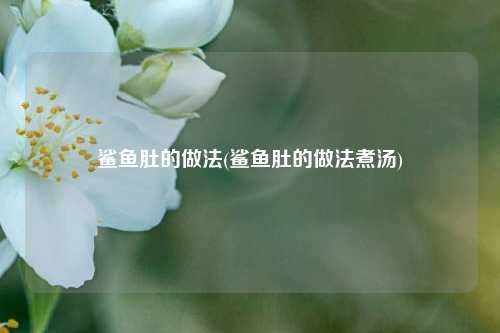 鲨鱼肚的做法(鲨鱼肚的做法煮汤)