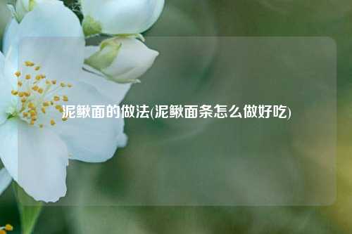 泥鳅面的做法(泥鳅面条怎么做好吃)