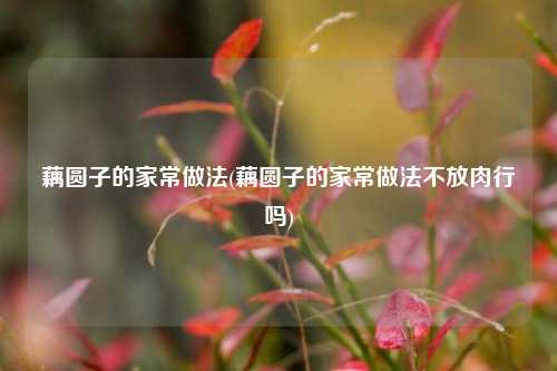藕圆子的家常做法(藕圆子的家常做法不放肉行吗)