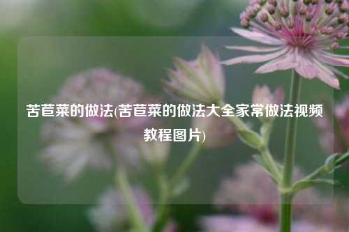 苦苣菜的做法(苦苣菜的做法大全家常做法视频教程图片)