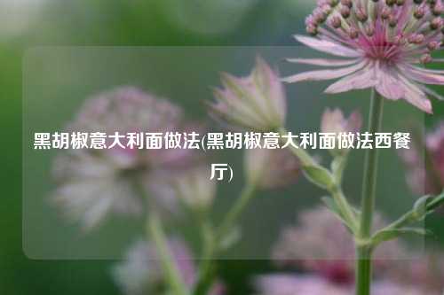 黑胡椒意大利面做法(黑胡椒意大利面做法西餐厅)
