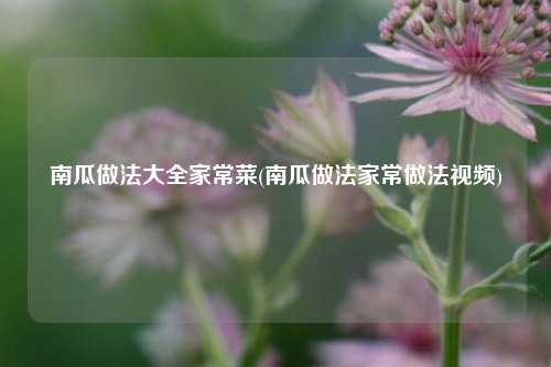 南瓜做法大全家常菜(南瓜做法家常做法视频)