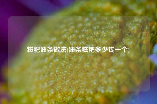 糍粑油条做法(油条糍粑多少钱一个)