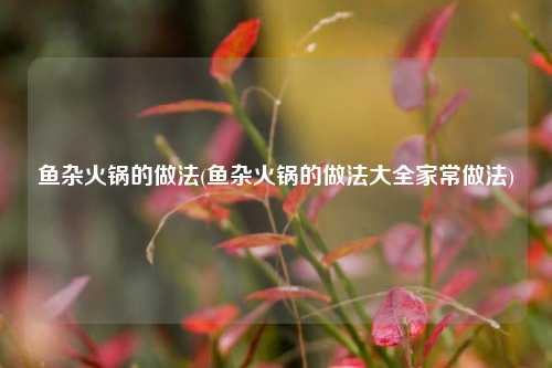 鱼杂火锅的做法(鱼杂火锅的做法大全家常做法)
