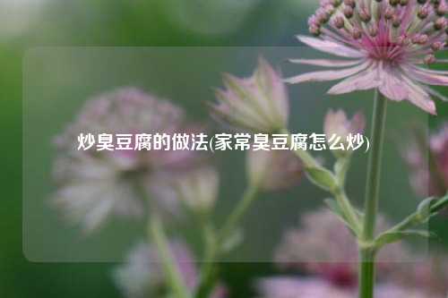 炒臭豆腐的做法(家常臭豆腐怎么炒)