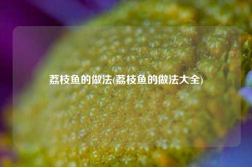 荔枝鱼的做法(荔枝鱼的做法大全)