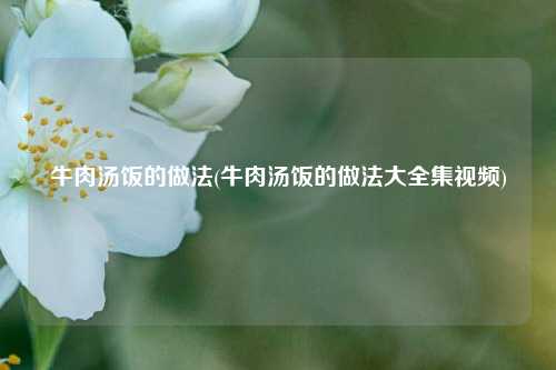 牛肉汤饭的做法(牛肉汤饭的做法大全集视频)