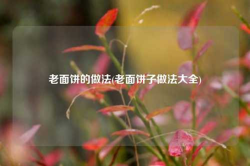 老面饼的做法(老面饼子做法大全)