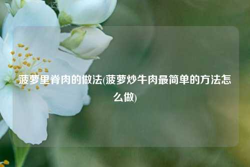 菠萝里脊肉的做法(菠萝炒牛肉最简单的方法怎么做)