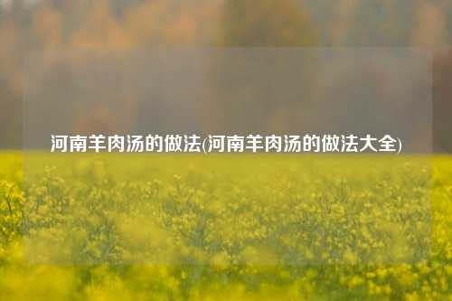 河南羊肉汤的做法(河南羊肉汤的做法大全)
