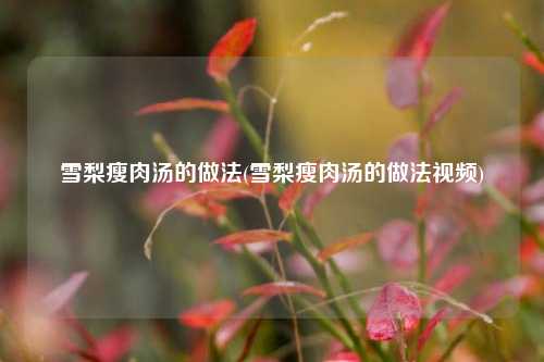 雪梨瘦肉汤的做法(雪梨瘦肉汤的做法视频)