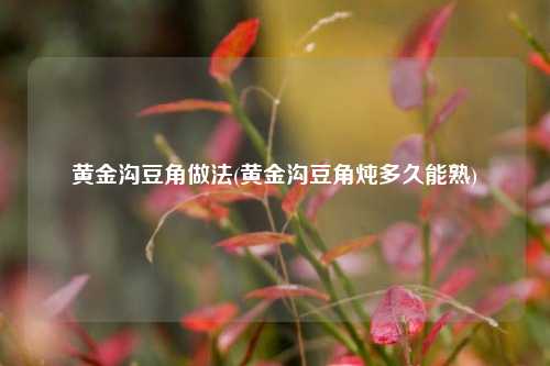 黄金沟豆角做法(黄金沟豆角炖多久能熟)